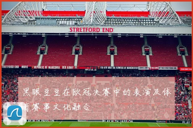 黑眼豆豆在欧冠决赛中的表演及体育赛事文化融合