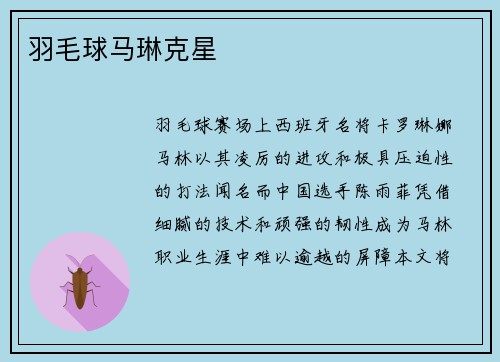 羽毛球马琳克星